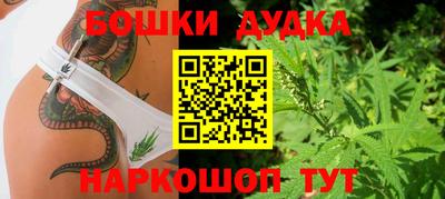 винт Ачхой-Мартан